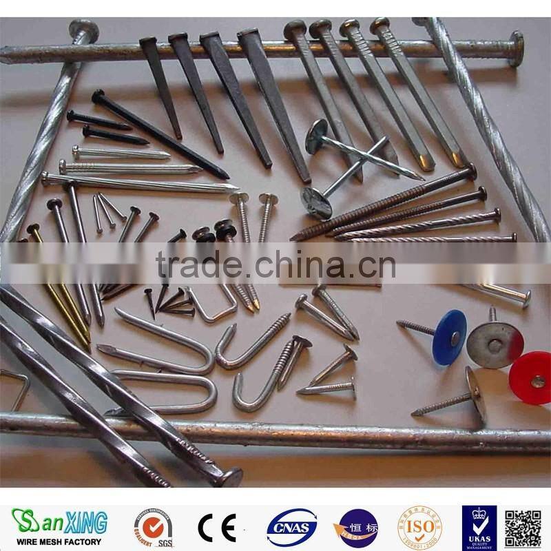 Flat Head Stainless Steel commom nail Screw nails