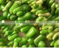 3-7mm branch shape natural green coral bead