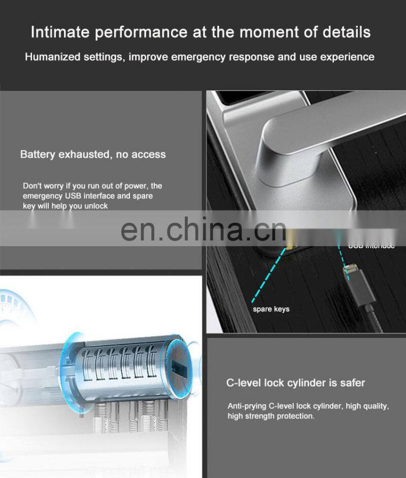 Wifi Ttlock Apps Intelligent Biometric Smart Lock Price Electronic Digital Smart Fingerprint Door Handel Lock For Security Home