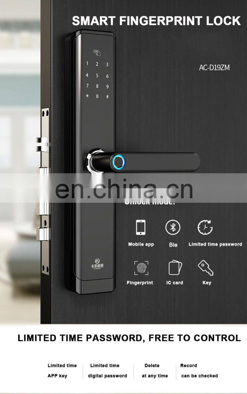 High Security Digital Biometric Fingerprint Door Lock Smart Lock WiFi App For Apartment