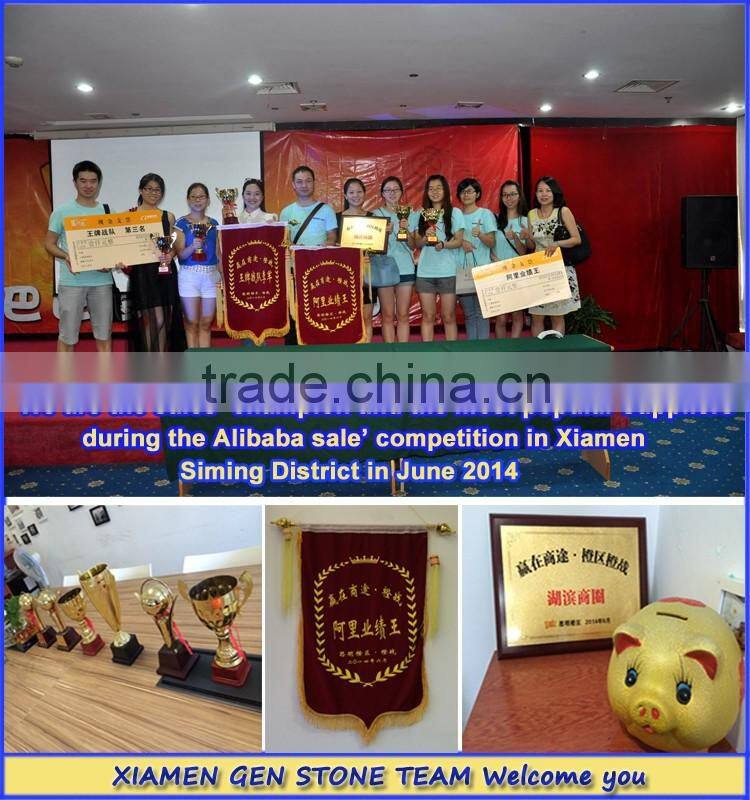 Chinese Popular Polished Tianshan Red Granite Floor Tiles