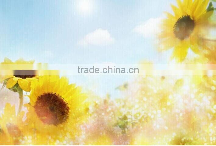 Tattoo laser tattoo removal machine