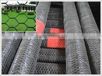Hexagonal Wire Netting/Fecing High Quality