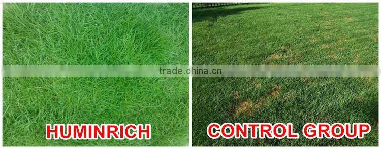 Huminrich Controlled Release Type Nitro Humic Acid