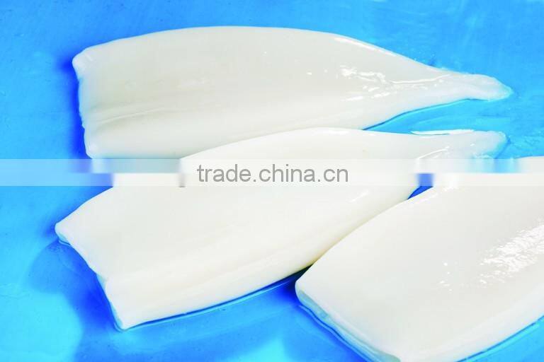 stock available frozen squid tube U5/7/10