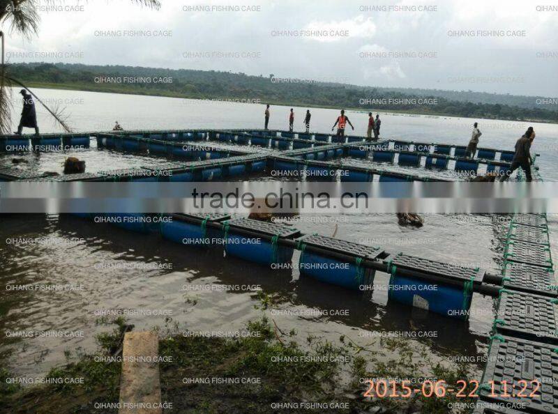 tilapia farm/catfish farm/trout farm/carp farm floating cage