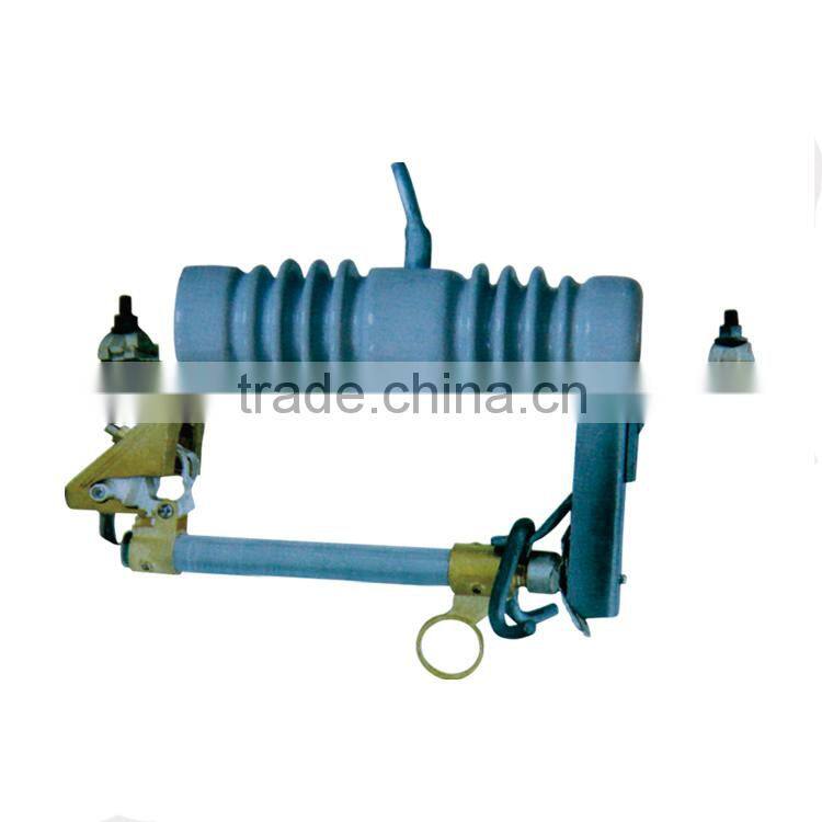 Low Cost New Product Customized Logo Printed Cylinder Fuse 250V