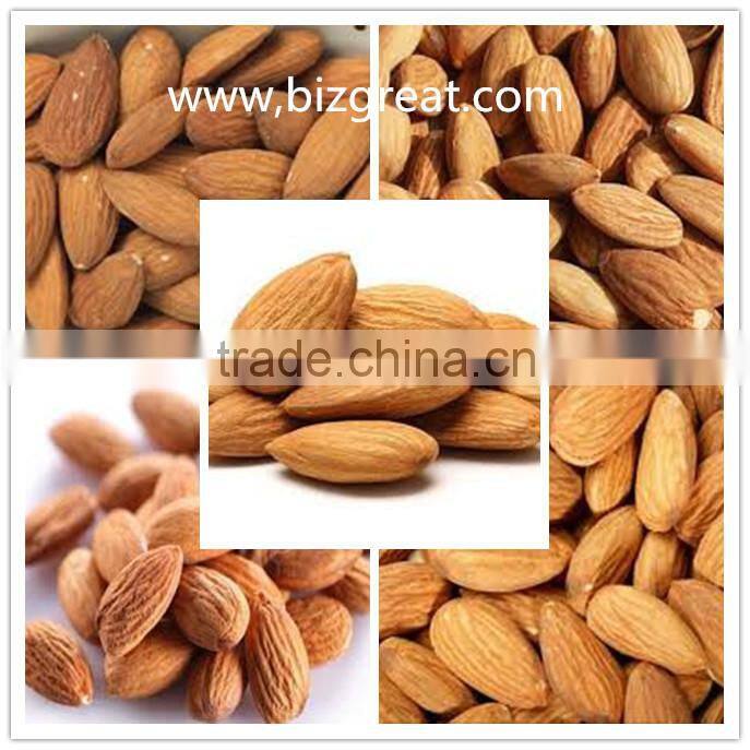 roasted apricot kernels raw flavor with good quality for sale