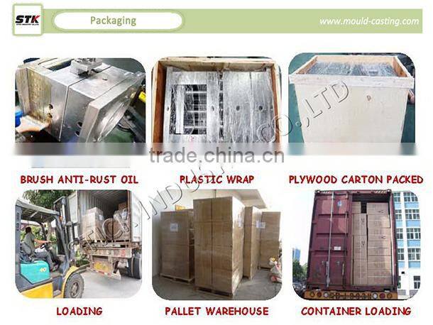 High Progressive Metal Stamping Punching Mold/Die