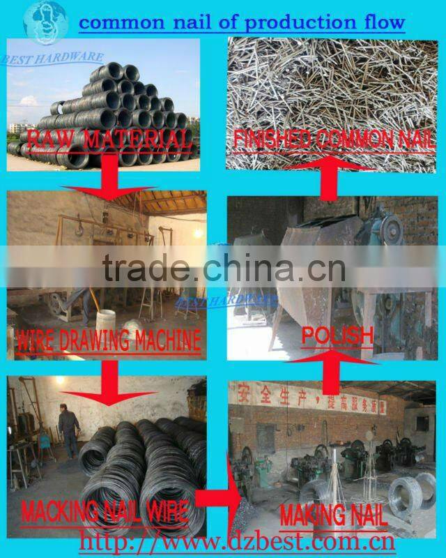 smooth common iron wire nail