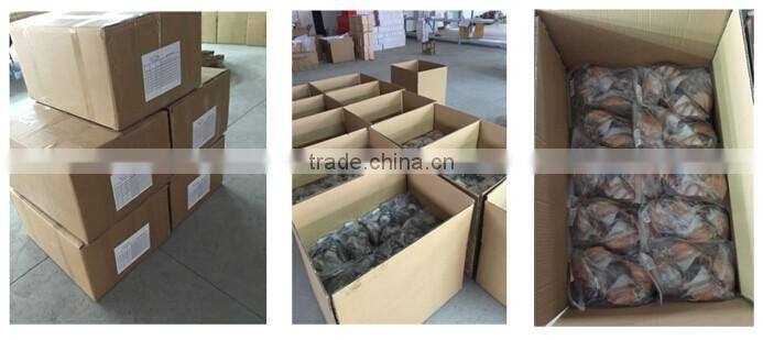 Suphini Beautiful Blue Satin Ballroom Dancing Adult Shoes