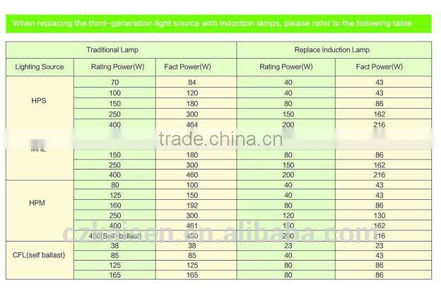 40W 80W energy-saving tube price induction lamp new style ceiling light