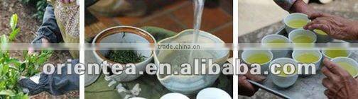 Japanese flavor steamed green tea organic chinese green tea sencha