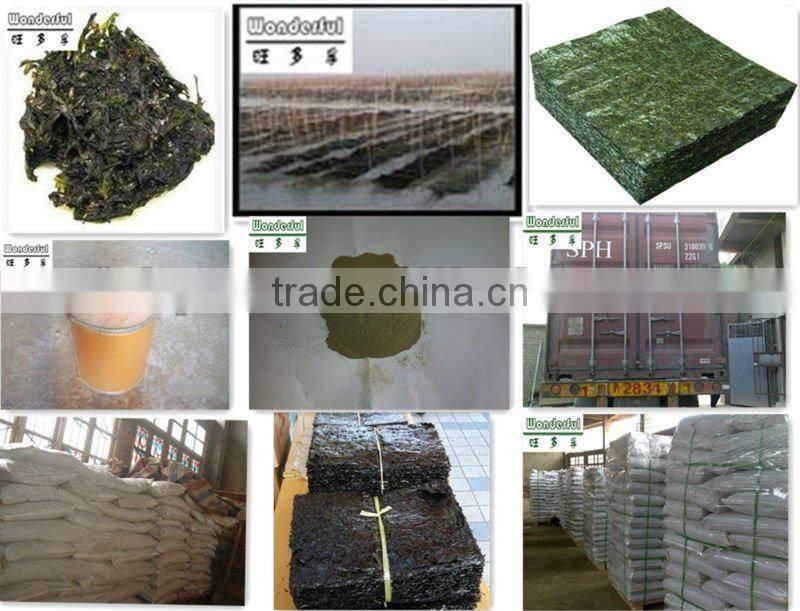 sushi/Nori seaweed,laverbread,health seafood