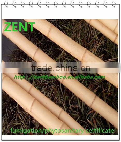 ZENT-99 Bamboo poles/bamboo cane