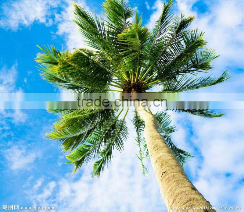 CSPM 2016 new Long Service Life Palm Wood Pellet Making Machine