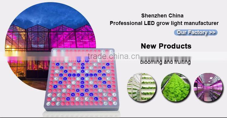 Usa Hot sale 45W/50W Led Grow Light, Indoor Plant Light