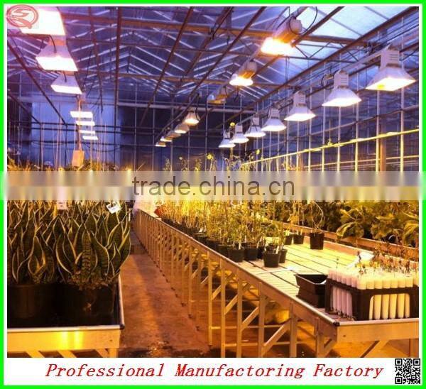 Customer design commercial glass greenhouses for roses/strawberry/tomatoes planting