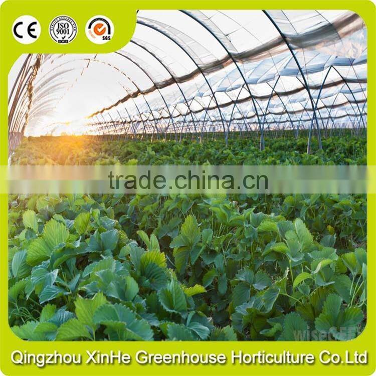 Special Customized Bottom Price Greenhouse Shed PE Film Cover Material