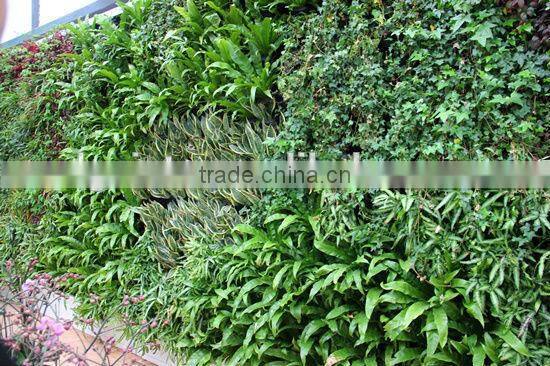 Factory price green plant wall artificial grass wall