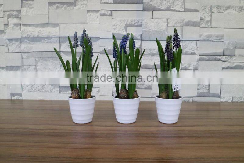 Plastic hyacinth flower bonsai for home and commercial decoation