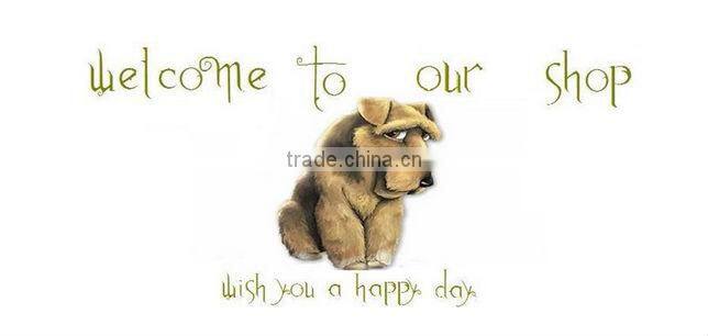 no show /ankle /mens ankle/women ankle socks