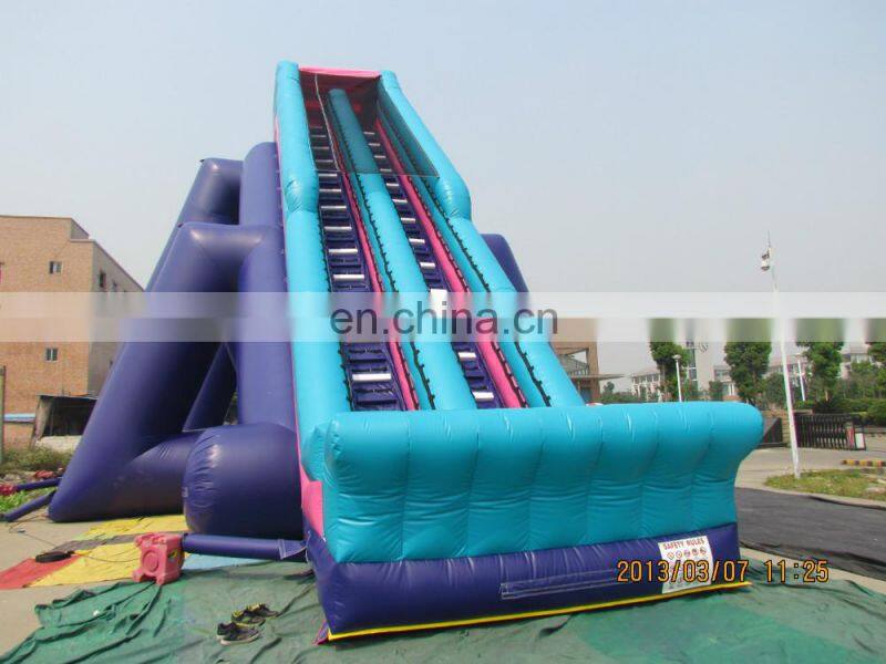Giant Inflatable for adult & kids, water slide, inflatable slide