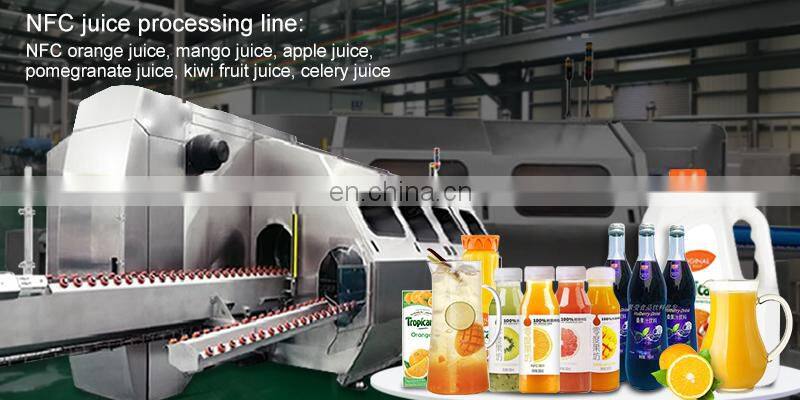 Commercial tomato apple peach screw press fruit juicer extractor machine