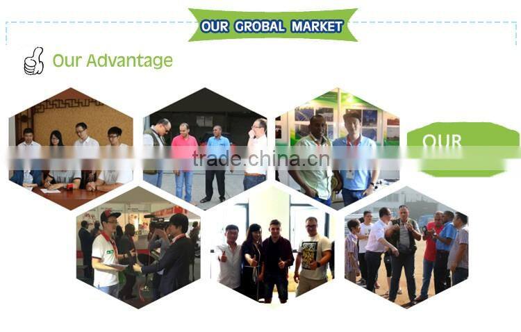 Energy Saving Professional mobile home solar panel system