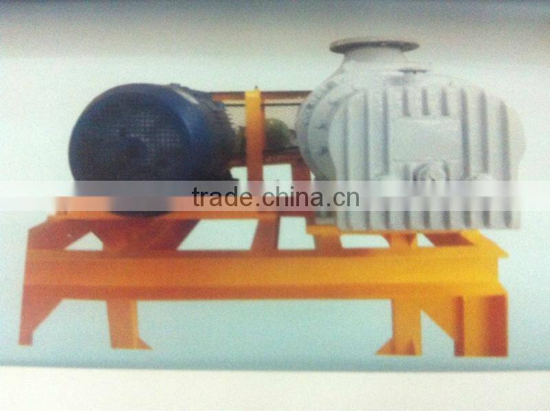 two lobes roots blower