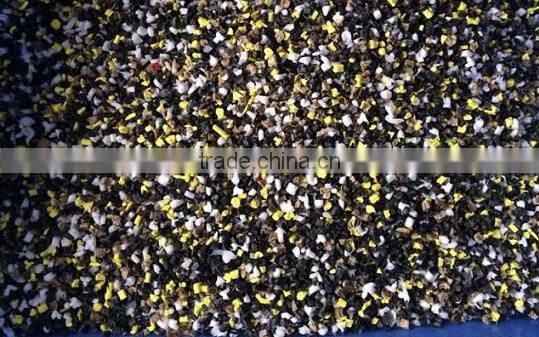 2015the latest double belt-type color sorter for plastic recycling particle