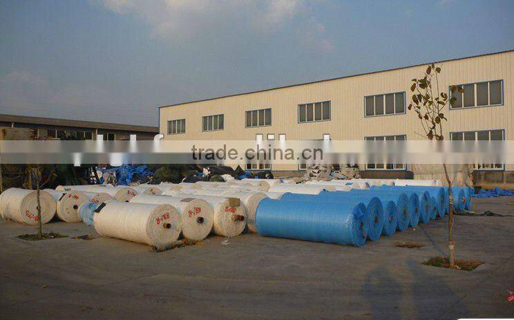 PE blue tarpaulin in rolls
