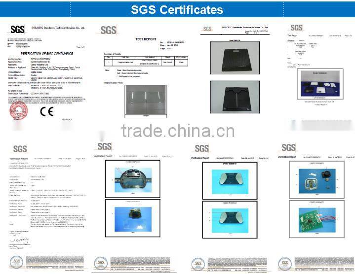 Portable Luggage Scale, Digital Travel luggage Scale 50kg Capacity 100g graduation High Accuracy Unique LED flashlight alarm