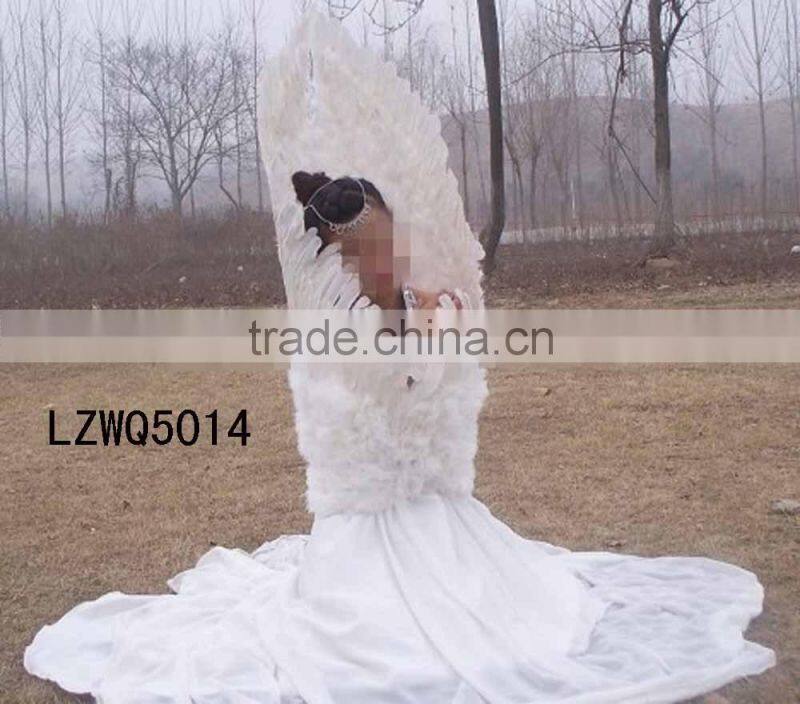 Costume Dance Feather Angel Wing LZWQ5017