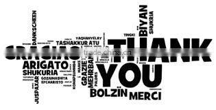 Provide two or three needles new model whole automatic sewing machine