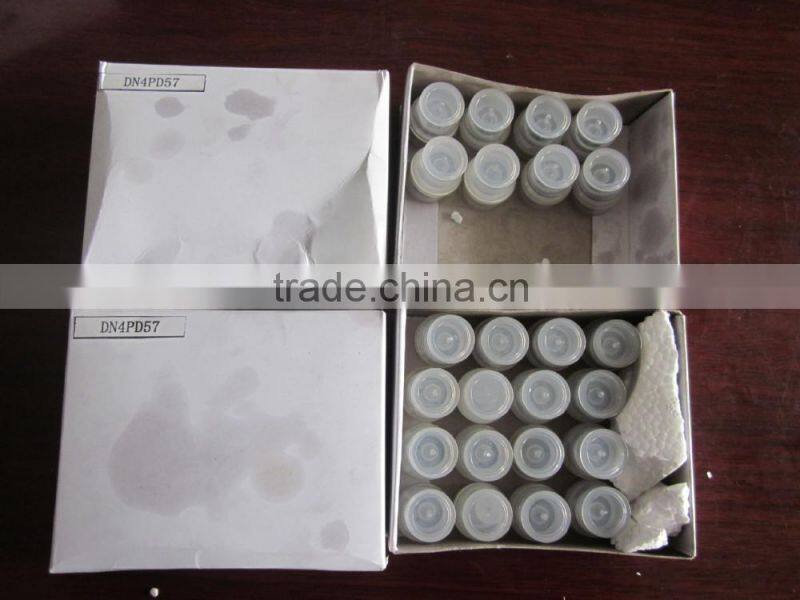 made in China, DN4PD57 diesel pump nozzle