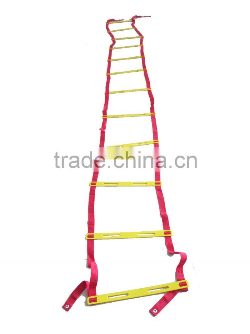 Speeding Agility Pp Ladder