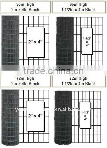 PVC Coated Welded Wire Mesh(manufacturer)