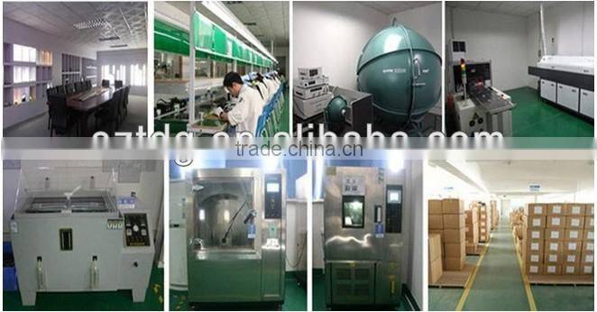 CE RoHS15w 20w 25w 30w Adjustable COB LED Trunk Light indoor