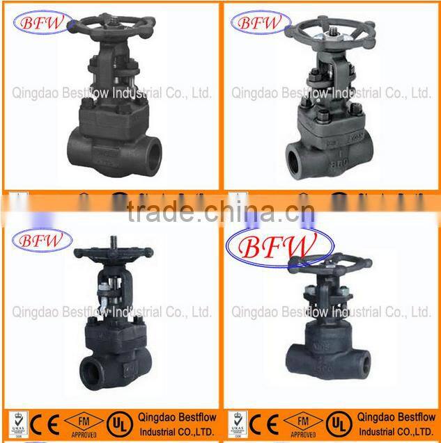 Api A105 High quality Forged Steel Gate Valve
