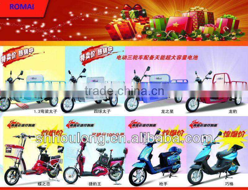 Heavy Loading Tricycle Cargo Bike From China