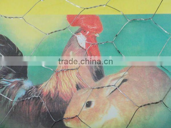 eletric galvanized hexagonal wire mesh