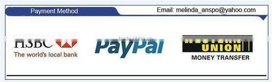 Guangzhou Anspo 1080P HD AHD DVR 4CH 8CH 16CH with free CMS software Mobile APP Cloud P2P view