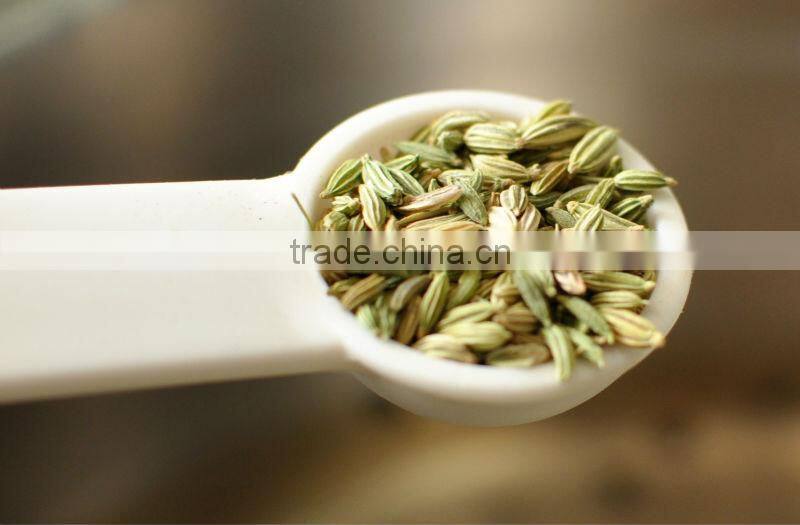 Fennel seeds supplier