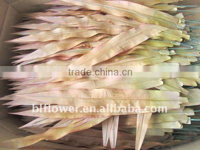 silk corn plant natural touch