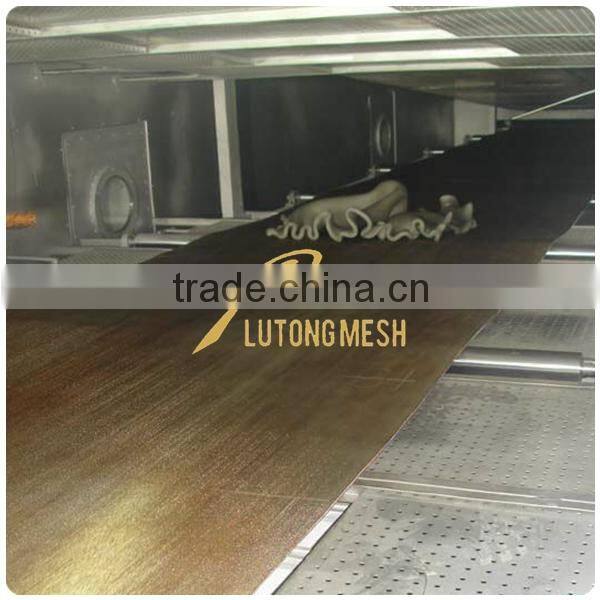 Anping High Quality Metal mesh belt