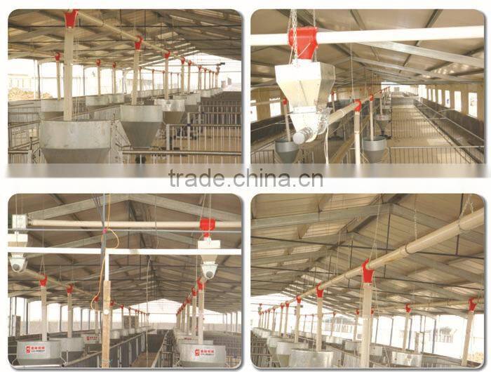 pig animal farming / farm equipment