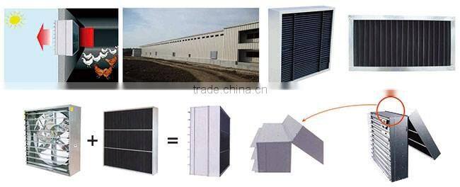 50" and 36" light trap for greenhouse and poultry house