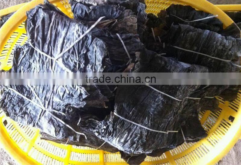 Hottest laminaria,saccharina japonica,dried sea vegetable,dried sheet kelp wholesale