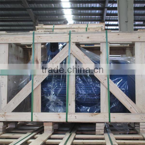 NEMA Standard TEFC Ball Bearing IP55 Protection Three Phase Electric Motor